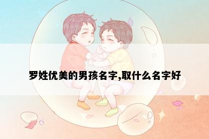 罗姓优美的男孩名字,取什么名字好